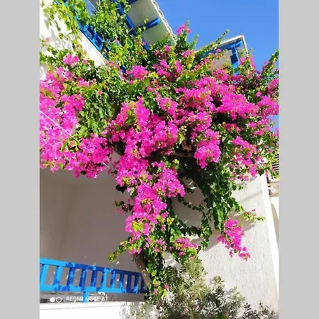 3 Min From The Beach-white&blue House In דירה