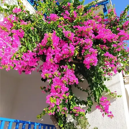 Lejlighed 3 Min From The Beach-white&blue House In